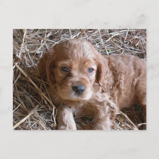 Denk aan jou... briefkaart (Voorkant)