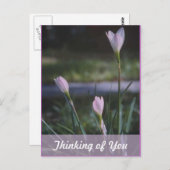 Denk aan jou briefkaart (Voorkant / Achterkant)