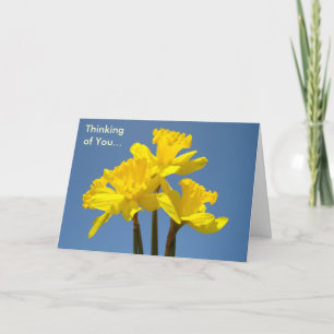 Denk aan jou deze Pasen! Kaarten Narcis Bloem