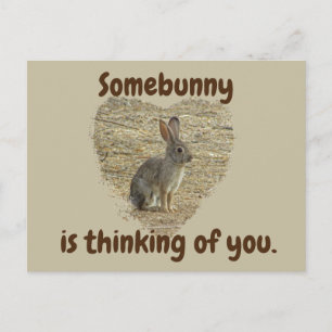 Denk aan Jou Knuffel Konijn Mist Jou Vriendschap Briefkaart