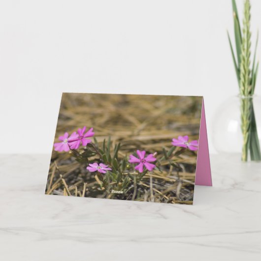 Denk aan jou Leeg Roze Phlox Wilde Bloem Kaart (Achterkant)