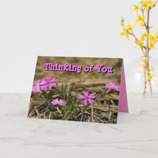 Denk aan jou Leeg Roze Phlox Wilde Bloem Kaart (Gele Bloem)