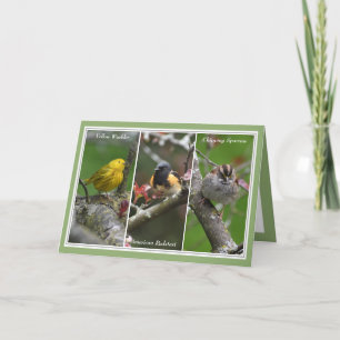Denk aan jou Mooie Vogels Wenskaart Feestdagen Kaart