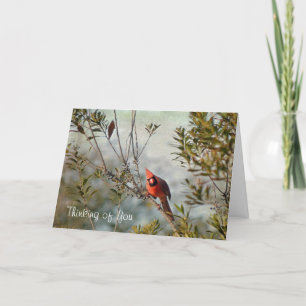 Denk aan jou - Noordelijke Kardinaal in Wax Myrtle Kaart