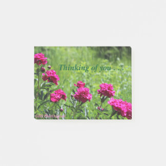 Denk aan jullie pinda's post-it® notes