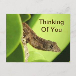 Denk aan jullie rebellie Gecko vriendschap Briefkaart
