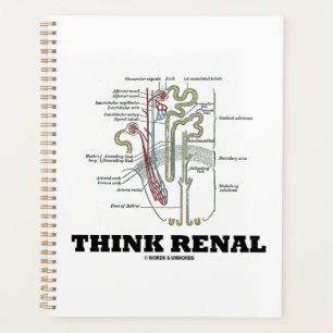 Denk aan Nieren Nephron Advice voor Nieren Planner
