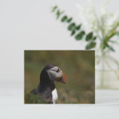 Denk aan Puffin Briefkaart (Staand voorkant)
