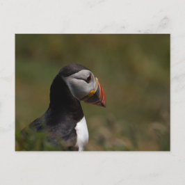 Denk aan Puffin Briefkaart