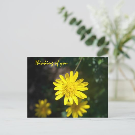 Denk aan u - Gele Daisy Briefkaart (Staand voorkant)