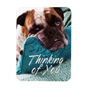 Denk aan You Bulldog Photo Sympathie Magnet Magneet