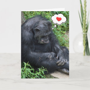 Denk aan You Chimpansee Kaart