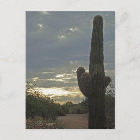 Denk aan You Saguaro Cactus Photo Peace Briefkaart (Voorkant)