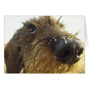 Denk daar eens over na.....