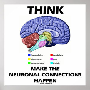 Denk dat de neuronale verbindingen gebeuren poster