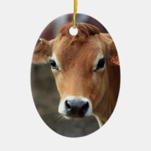 Denk je niet dat ik  Jersey Cow ben? Keramisch Ornament