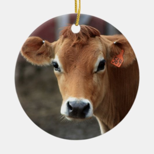 Denk je niet dat ik  Jersey Cow ben? Keramisch Ornament (Voorkant)