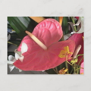 Denk roze briefkaart