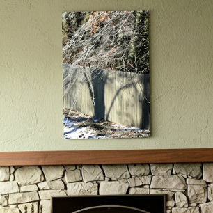 Denkbeeldige Schaduw Winter Boom Kunstzinnige foto Canvas Afdruk