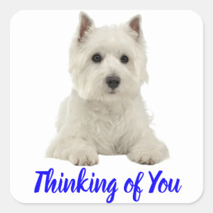 Denken aan de Terrier Puppy Dog van You West Highl Vierkante Sticker