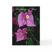 Denken aan je gedicht