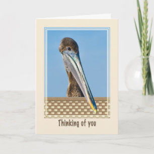 Denken aan je Kaart met Brown Pelican