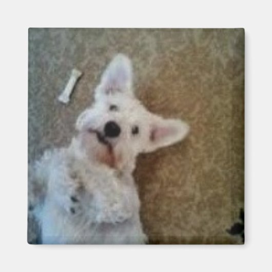 Denken aan je magneet (Voorkant)