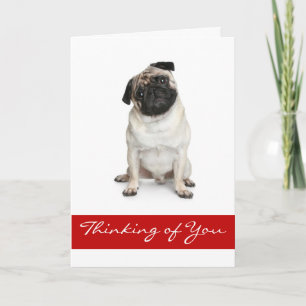 Denken aan je Pug Puppy Dog Wenskaart Kaart