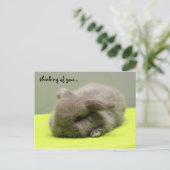 denken aan jou... briefkaart (Staand voorkant)