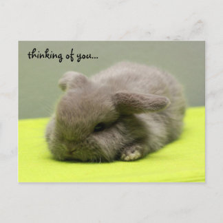 denken aan jou... briefkaart