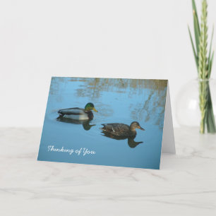 Denken aan jou   Eenden Kaart