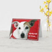 denken aan jou... kaart (Gele Bloem)