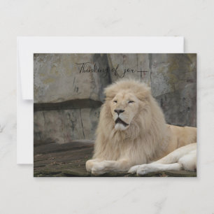denken aan jou leeuw liefde briefkaart