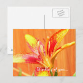 Denken aan jou Lily Briefkaart (Voorkant / Achterkant)