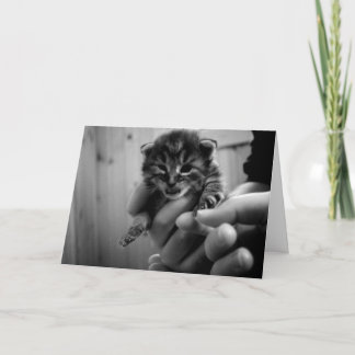 Denken aan Mew! Kaart