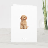 Denken aan u Apricot Poedel Puppy Dog Kaart (Achterkant)
