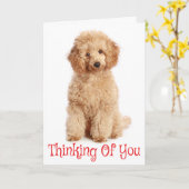 Denken aan u Apricot Poedel Puppy Dog Kaart (Gele Bloem)