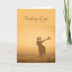 Denken aan u Elk Stag Deer Animal Morning Light Kaart