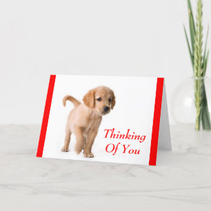 Denken aan u Golden Retriever Puppy Dog Kaart