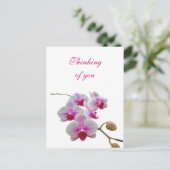 Denken aan u Orchideeën - Phalaenopsis Briefkaart (Staand voorkant)
