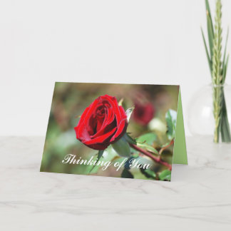 Denken aan u Red Rose Blank Kaart