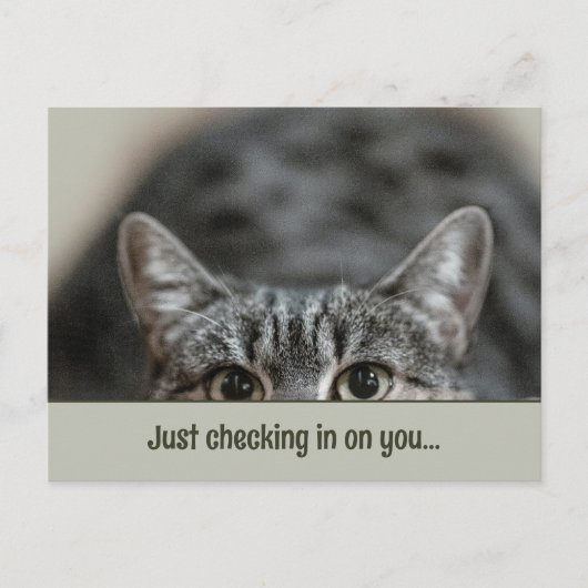 Denken aan u Schattige Cat Caption Sjabloon Briefk Briefkaart (Voorkant)