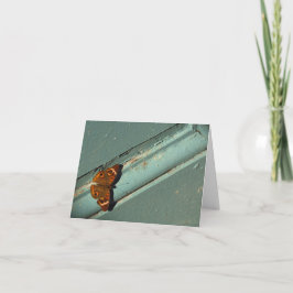 Denken aan u/sympathikaart met vlinder kaart