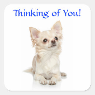 Denken aan You Chihuahua Puppy Sticker