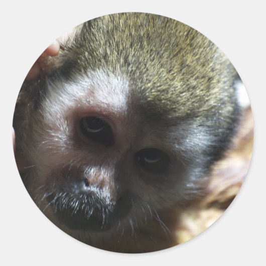 "Denken..." Squirrel Monkey Gifts Ronde Sticker (Voorkant)