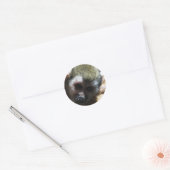 "Denken..." Squirrel Monkey Gifts Ronde Sticker (Envelop)