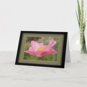 Denkend Aan Jou Gelijst Roze Klaproos Foto Sjabloo Kaart
