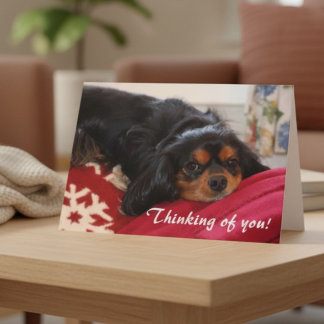 Denkend aan Jou Hondenliefhebber Cavalier King Cha Kaart