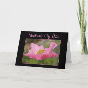 Denkend Aan Jou Roze Klaproos Bloem Foto Kaart