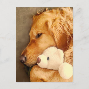 Denkend aan jou Schattige Treurige Gouden Retrieve Briefkaart